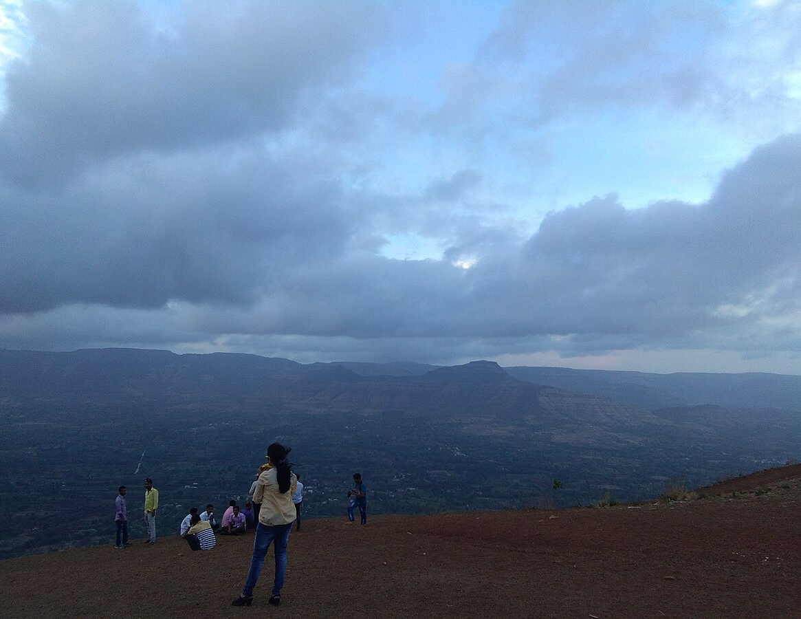 हॅरिसनचा फॉली